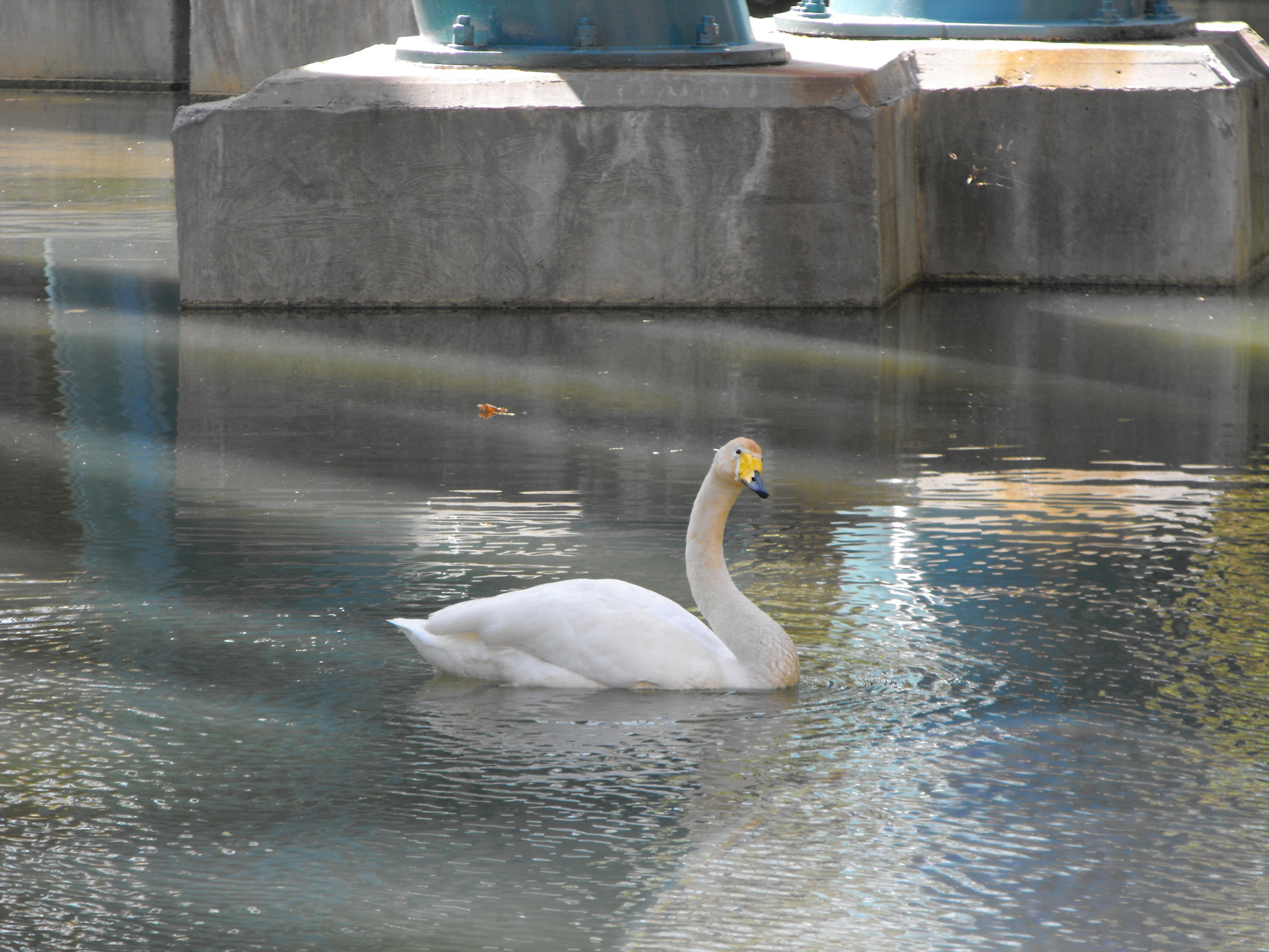 ./2010/BHS Chorus VA Beach/BHS Chorus VA Beach 0185.JPG